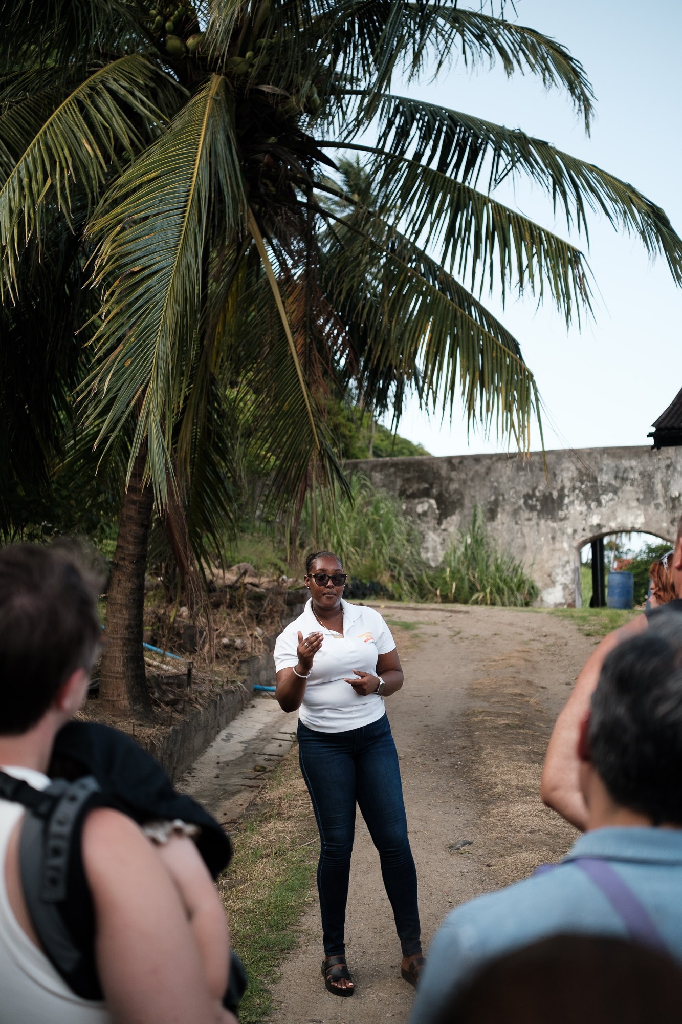 Tour guide at River Antoine Estate Rum Distillery in Grenada standing in front of a tall palm tree during the Caribbean Horizons tour.
