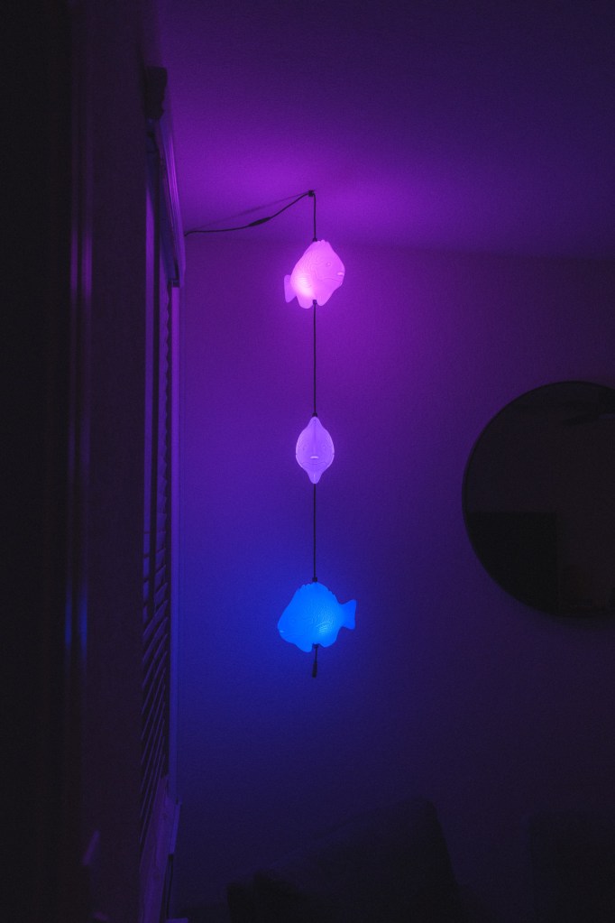 Handmade fish light sculpture from Waller Creek High, A School of Extraordinary Fish installation hanging inside a home, glowing with colorful light patterns photographed in low light using Fuji X-T30.