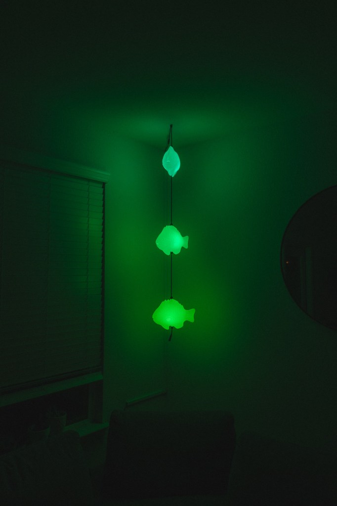 Wide view of adopted fish lamp from Waller Creek High, A School of Extraordinary Fish displayed as wall art indoors, illuminated with vibrant colors and photographed using a Fuji X-T30.