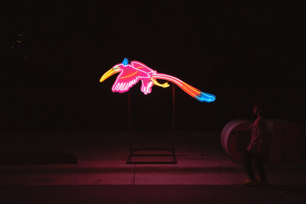 Wide view of illuminated art installation at Austin Creek Show captured with Fuji X-T30 in low light.