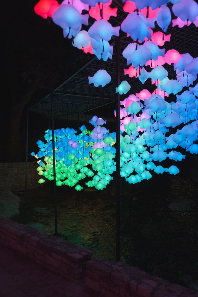 Suspended illuminated fish installation at Waller Creek Light Show in Austin photographed handheld at night using Fuji X-T30 and Fuji XF 18mm f2.