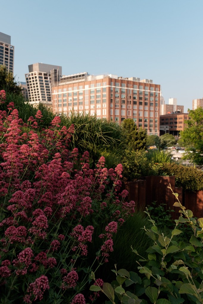 Urban cityscape perspective looking up at surrounding architecture captured with Fuji X-E2.